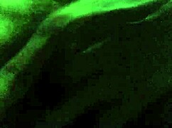 teasing my very hairy black pussy with dirty lesbian illusion fucks