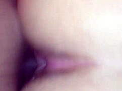 damn this thick latina bbw bends fat ass over for hardcore doggystyle cock pounding