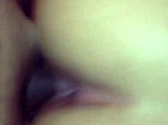 damn this thick latina bbw bends fat ass over for hardcore doggystyle cock pounding