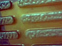 Chuymaury Teases Balls in Pantyhose with Strict Mommy