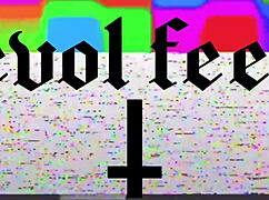 Worship her perfect nylon feet or choke on that hairy pussy slave