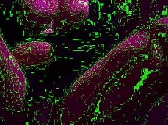 Italian Horny Big Tits MILF Artemisia Love Flashes Juicy Boobs in Micro Bikini