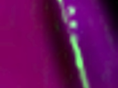 Italian Horny Big Tits MILF Artemisia Love Flashes Juicy Boobs in Micro Bikini