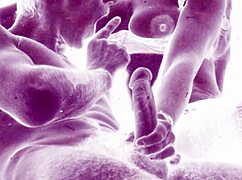 doesn't this hairy antique erotic art from retro vintage era drive you wild?