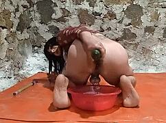 whoa ts babe pees right in gaping ass during wild cucumber 🍆🍌 stretch play!!