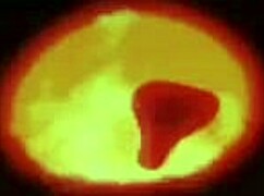 Sexy Asian Twerks Her Juicy Ass in Fishnets Teasing Every Curve