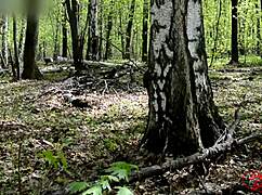 innocent forest stroll builds to trembling orgasm against smooth birch bark outdoors