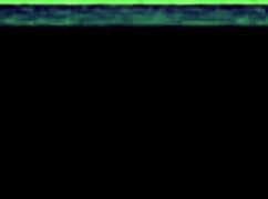 soldiers gangbang the hentai teen in barracks again with creamy loads