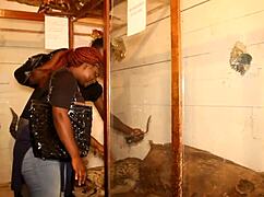 two tourists meet in park explore hidden spots make lasting memories