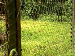 two tourists meet in park explore hidden spots make lasting memories