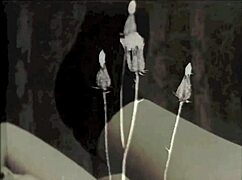 secret vintage orgy unleashes hairy beaver double penetration chaos