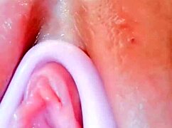 Curvy Latina's Puffy Shaved Pussy Lips Spread Wide for Toy Orgasm Closeup