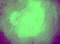 ela adora sentar de calcinha... de quatro pro marido guloso?