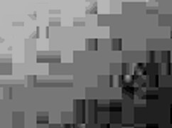 Raw huge cock bursts free from tight shorts explosively!