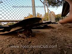 whoops giantess maria crushes snails unaware under her huge latina feet in club