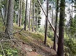 time for that smooth glass play on the road ahead