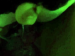 The brunette spreads wide as her wet pussy gets a deep intense sucking session driving her wild.