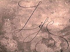 Dark lantern brings vintage threesome confessions from victorian gentleman's secret erotic life