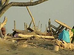 gf sucking my cock on crowded beach strangers!!