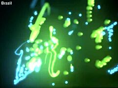 Raquela milf endures first time double anal and double vaginal penetration bareback