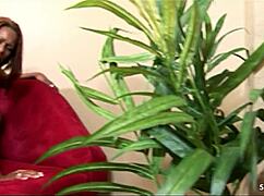 Wanna cast curvy ebony bitch hard?