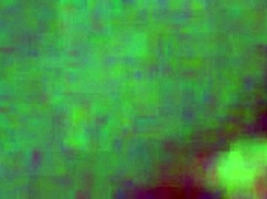 that mexican street whore from 14 puebla takes it up the ass hard