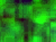 that mexican street whore from 14 puebla takes it up the ass hard