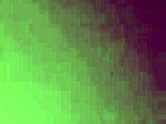 Watch my wife bulge her belly taking that massive black daddy cock deep inside her hungry hole.