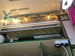 damn this 18yo bitch's upskirt pussy flashes no bra no panties at the festival 😈🔥