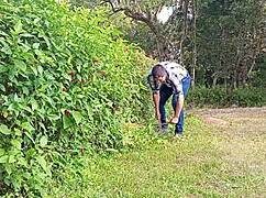 JARDINEIRO MEGA DOTADO PUNHETA GROSSA ATÉ GOZAR URSO BRASILEIRO
