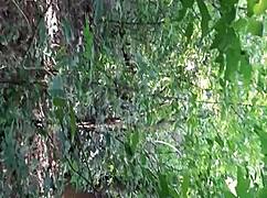 lesbian illusion girls tongue wet pussies deep in forest till cumming hard