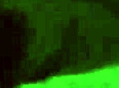 Year of Goat Asian Boobs Get Raw Titfuck Pounding!