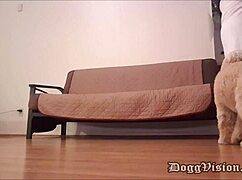 Pizza Man Barebacks Big Butt Cougar MILF Creampie Explosion