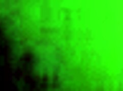 Watching my wife rub ends with creampie sucking her cum-filled pussy clean