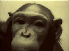 Vintage Beauty Takes Beast's Huge Cock Doggystyle Outdoors!