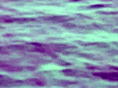 Lindsey Olsen's Big Ass Gaped By Monster Cock In Rough Outdoor Anal