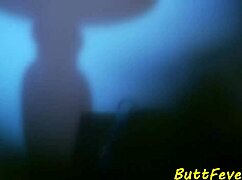 A busty babe gets her ass pounded in steamy threeway