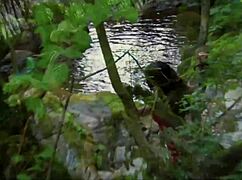 Big cock milf bitch assfucks with pain in full hd