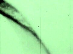 ever heard of vintage hairy beavers getting fucked raw?