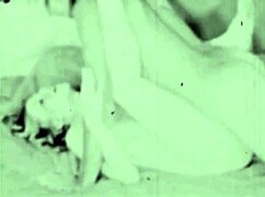 ever heard of vintage hairy beavers getting fucked raw?