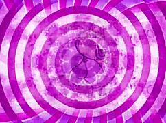 maid's sissification to-do list... jerk off to my big cock tease 😈