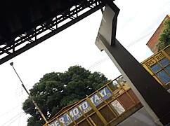 gostosa flashes big ass candidly on hidden bus cam