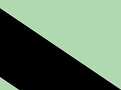 he couldn't hold back and flashed on the street