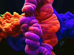 Hidden Camera Captures Boss's Wild Passion For Latina Maid's Big Tits And Pussy Fucks