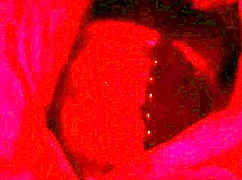 Amateur Couple's Submissive Housewife Worships Ass Before Dirty Close-Up Anal Fuck