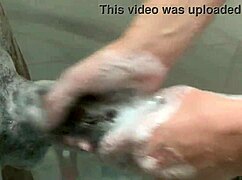 i can't resist playing with my big step sister's huge tits and monster bbc ass while parents are gone