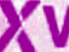 Cock Hungry Jolee Love DP Fucked in Holes by Clients GP3338