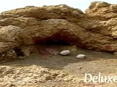 Bitch Fingers Ass Then Sucks and Rides Cock on Beach