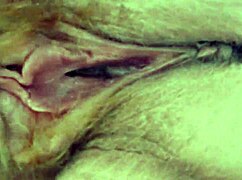 Granny Skirt Flashes Hairy Beaver Upskirt Slut