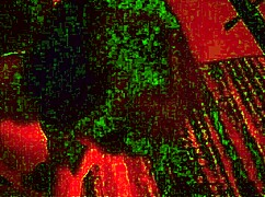 kali ryder moans loud getting fucked deep in the sex dungeon shadows